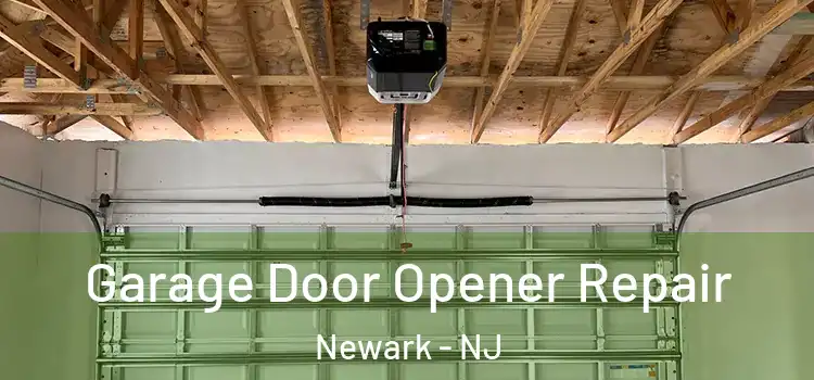  Garage Door Opener Repair Newark - NJ