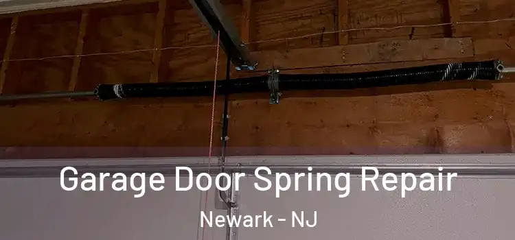  Garage Door Spring Repair Newark - NJ