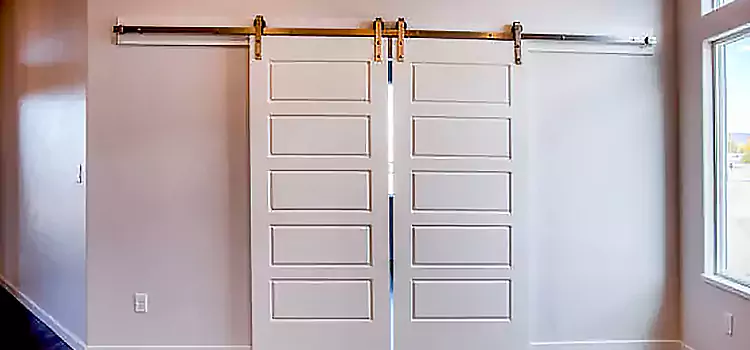 Glass Barn Door with Installation Hardware Kit Newark
