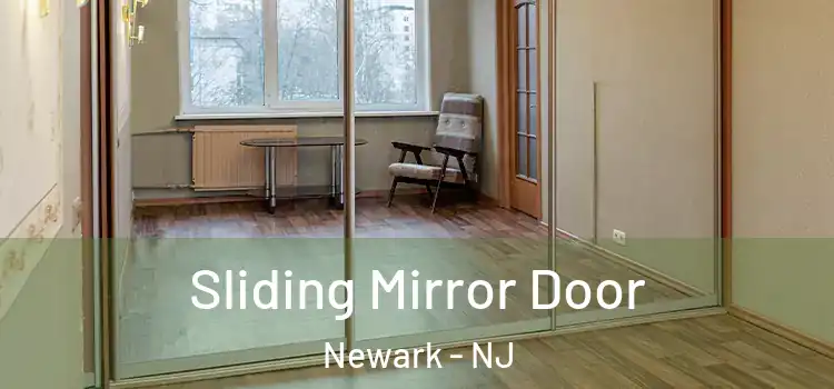  Sliding Mirror Door Newark - NJ